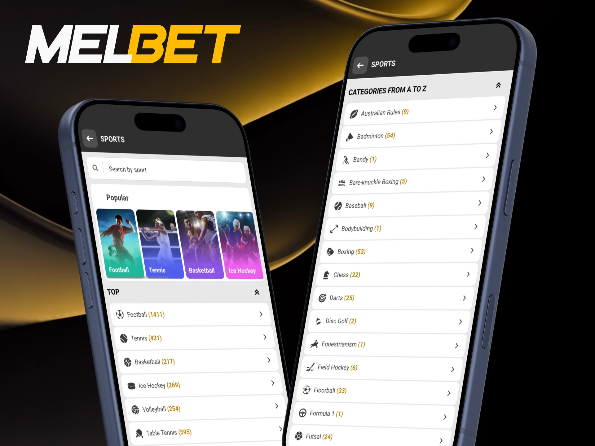 Bet on various sports events at Melbet.