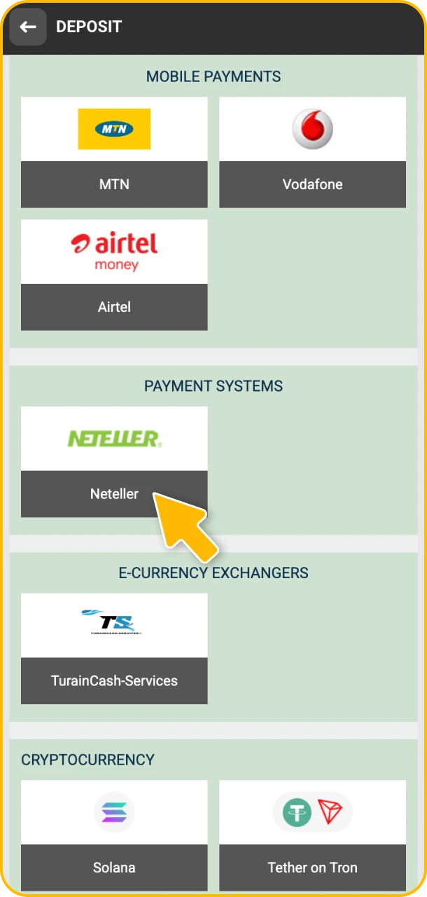 Pick a payment method and fund your Melbet account.